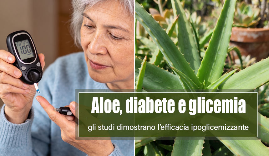 aloe vera arborescens diabete glicemia