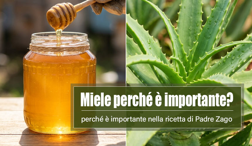 miele importante ricetta padre zago aloe