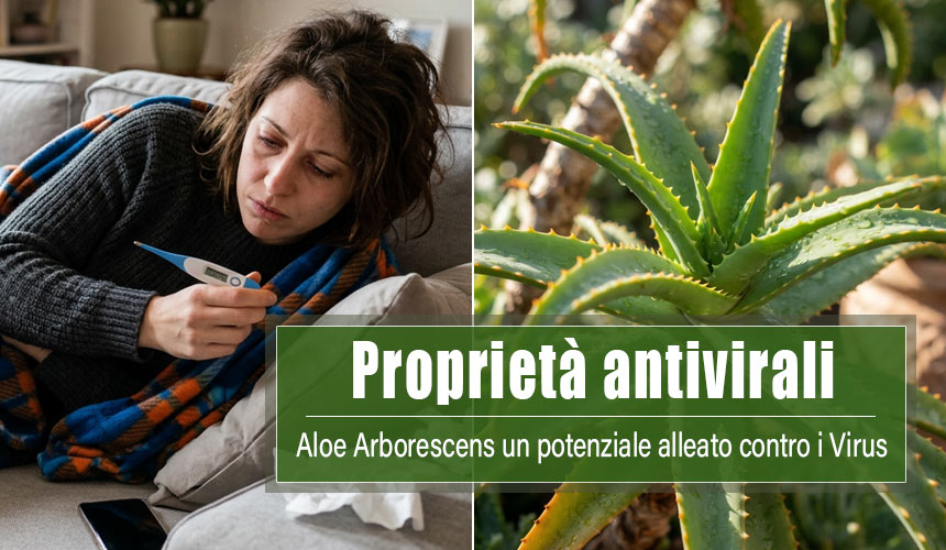 proprietà antivirali aloe arborescens virus