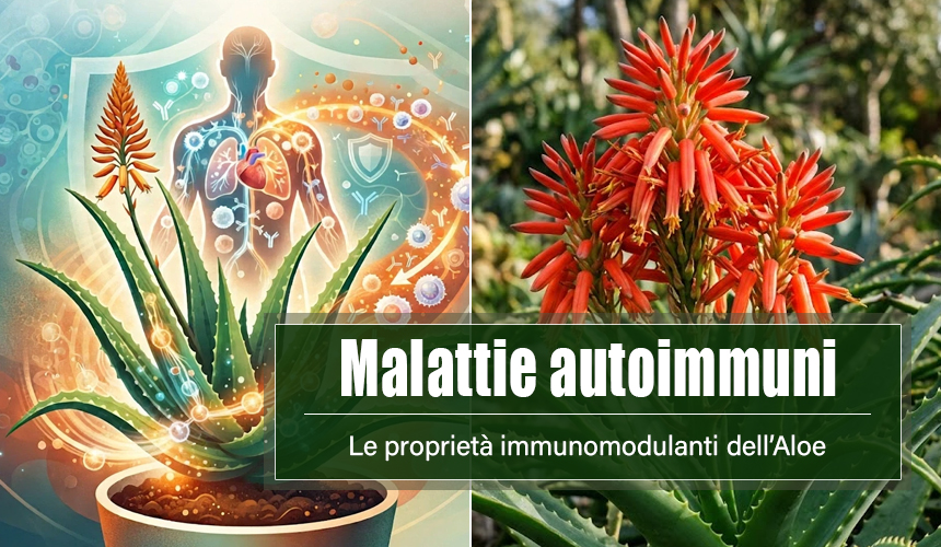 aloe arborescens malattie autoimmuni